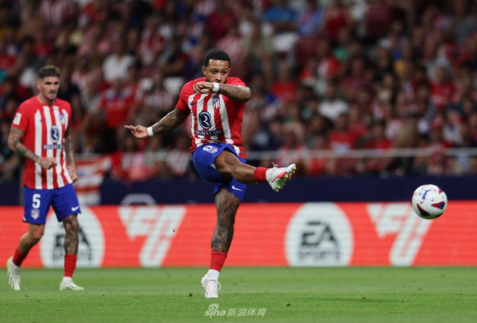 领域的信息 领域的信息